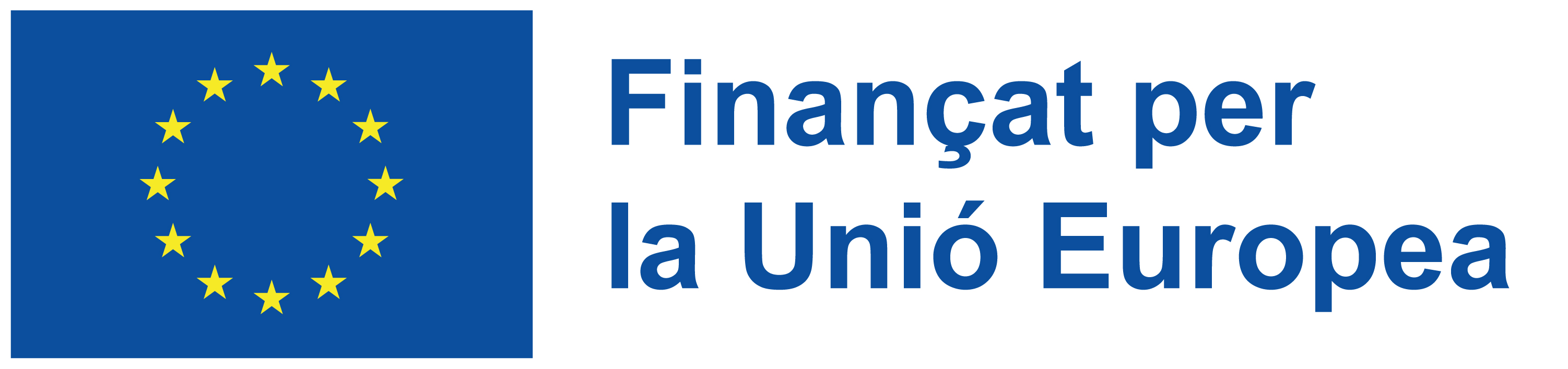 Financed by the European Union